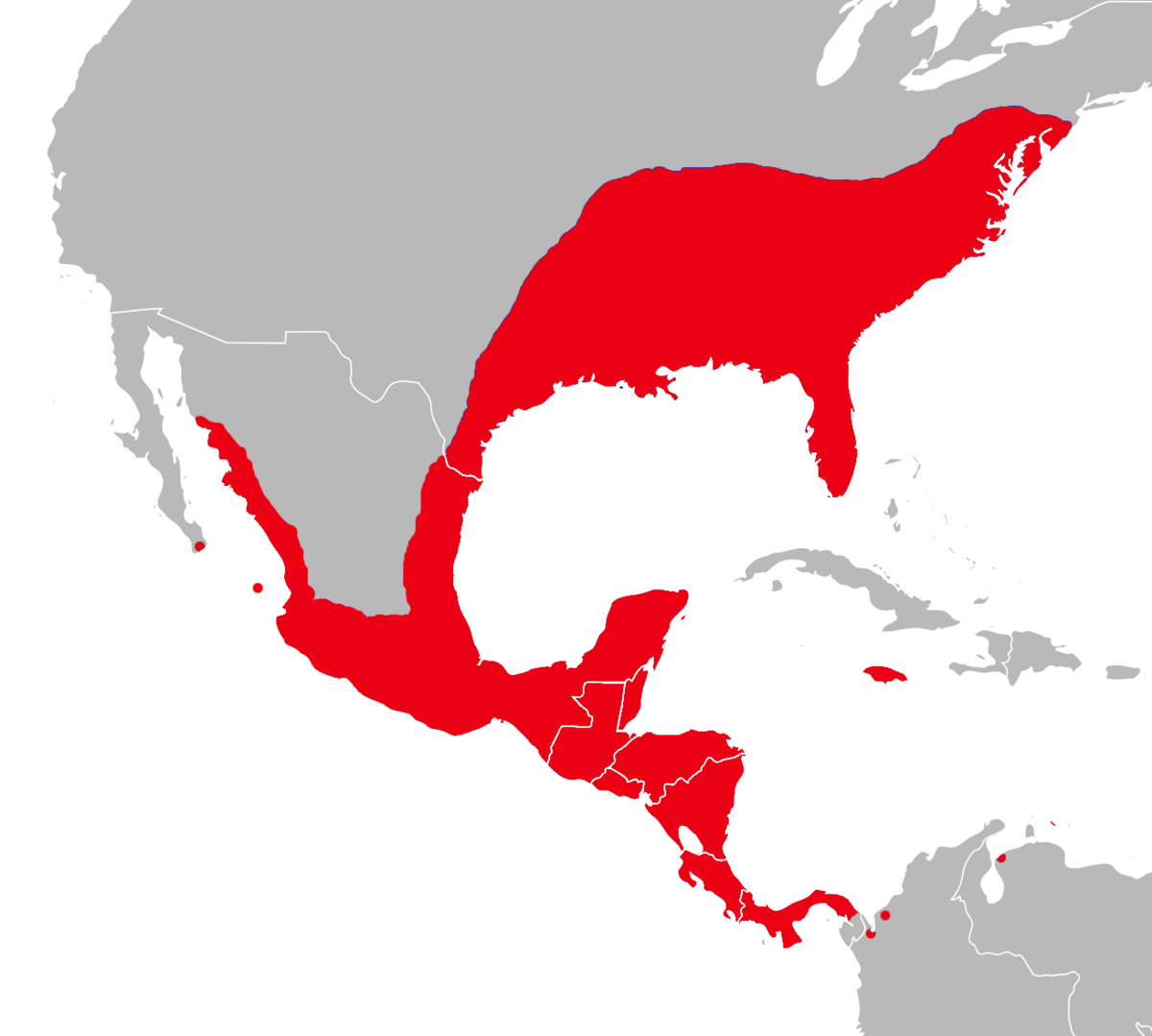 Oryzomys distribution summary.png