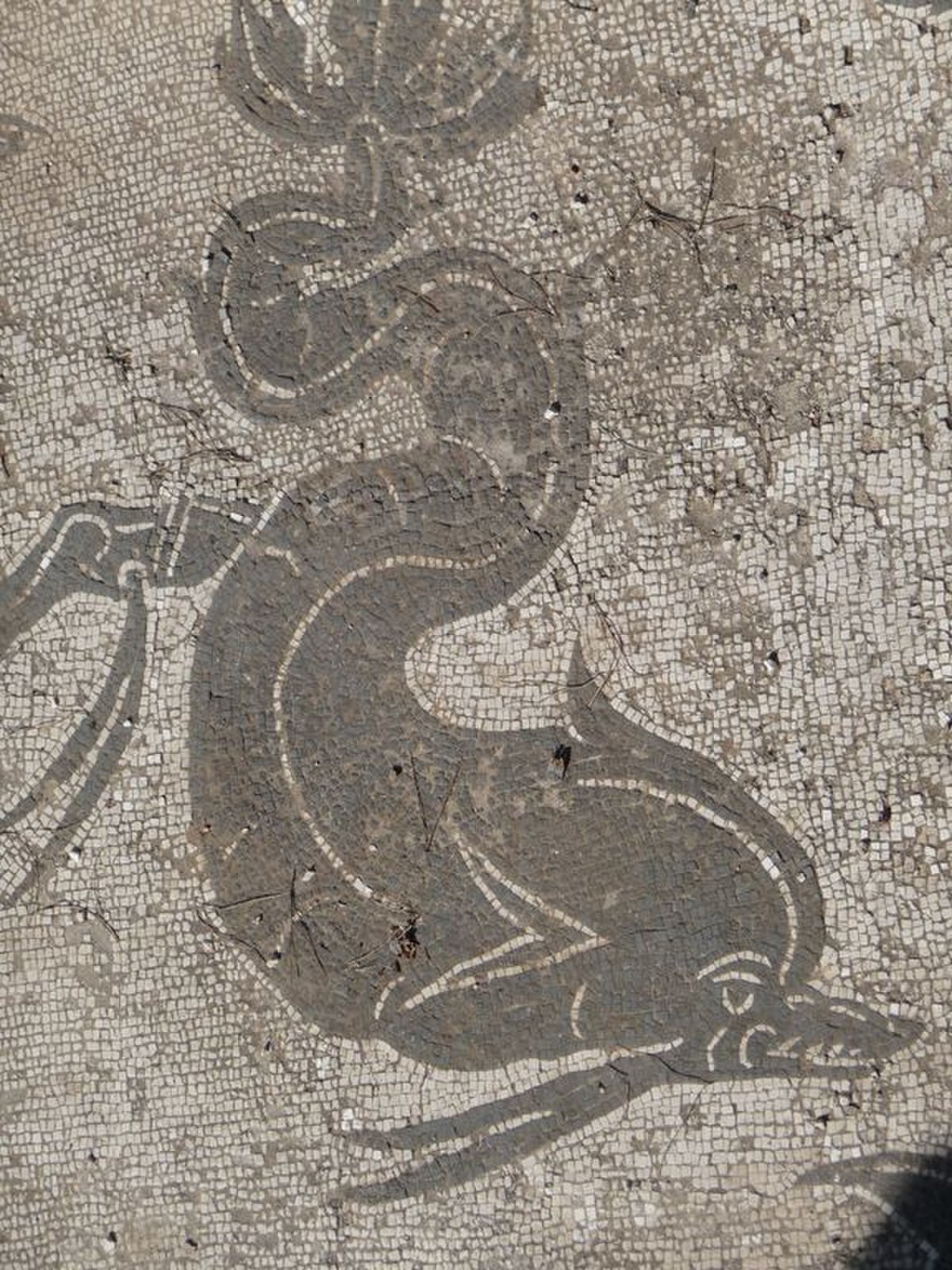 Ostia Antica - mosaico.jpg