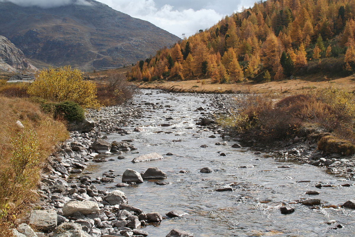Ova da Bernina.jpg