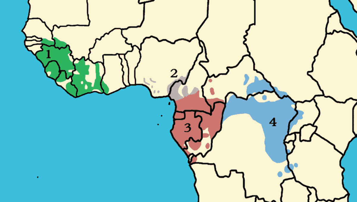 Répartition des sous-espèces de Pan troglodytes :
