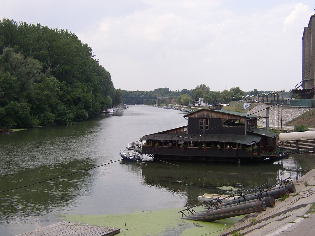 Timiş (rivière)