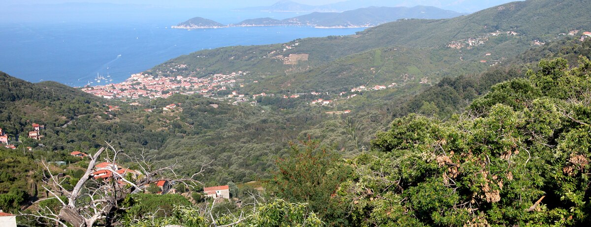 Panorama du port de Marciana Marittima depuis le village de Marciana Alta