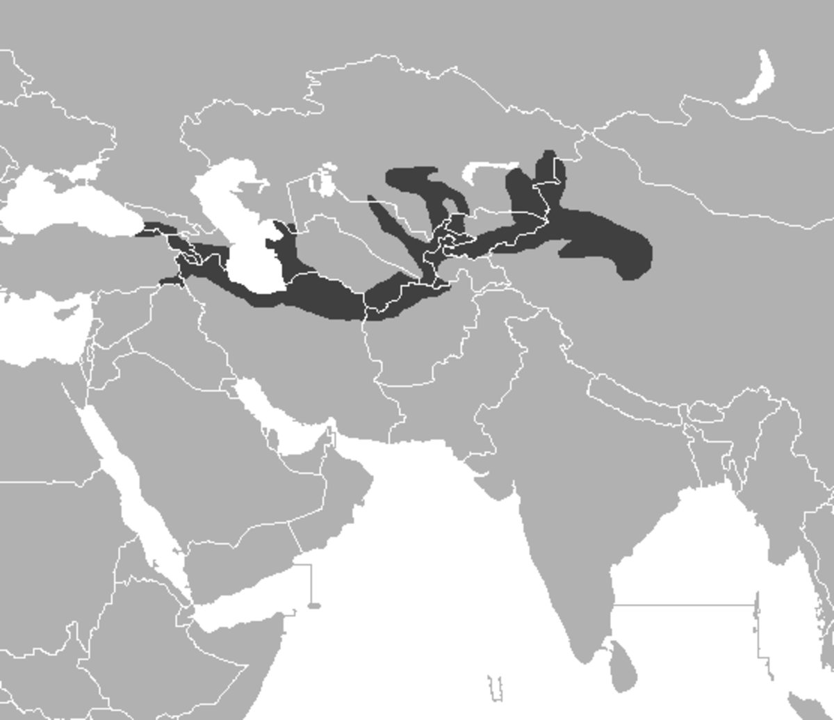 Panthera tigris virgata dis.png
