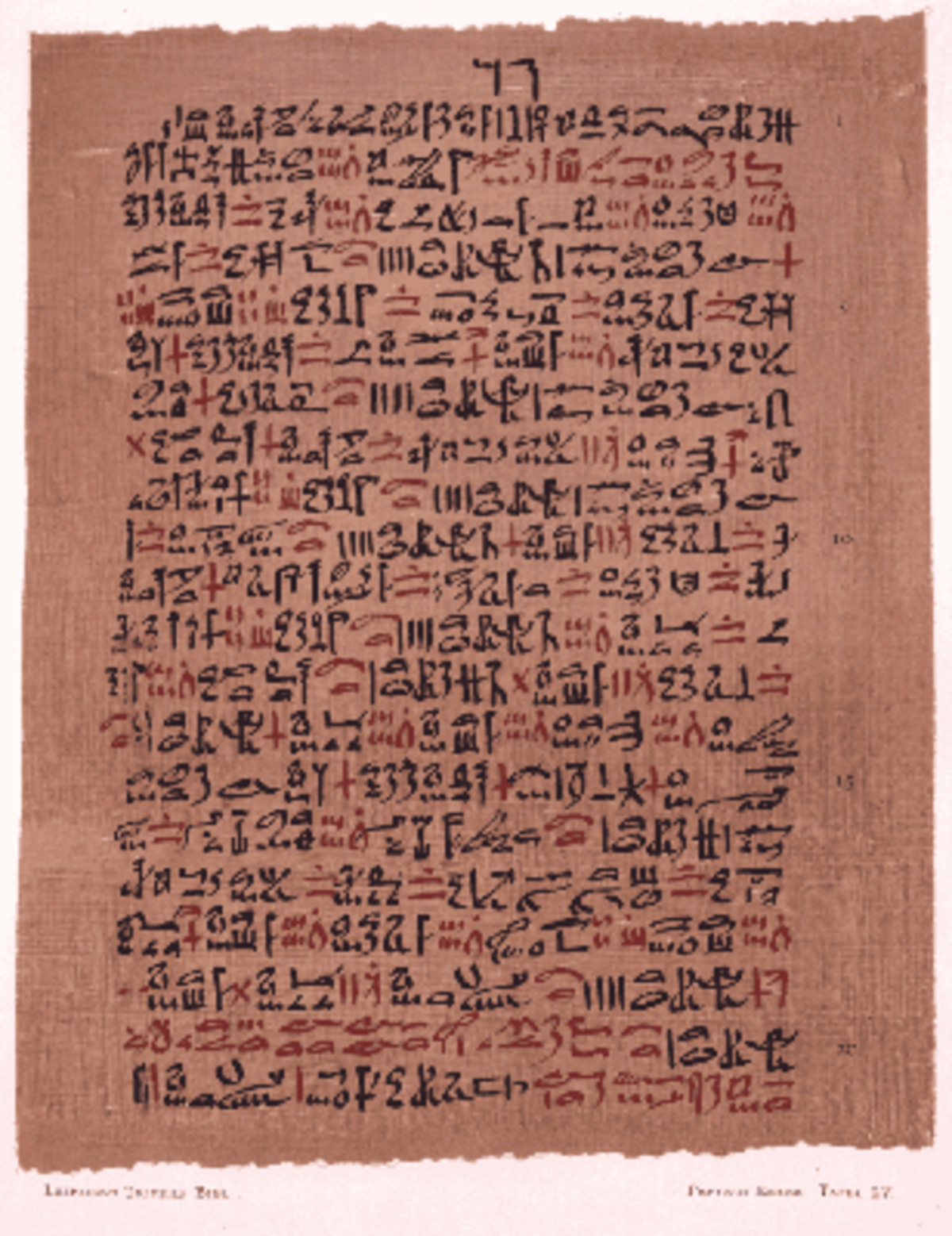 Papyrus Ebers