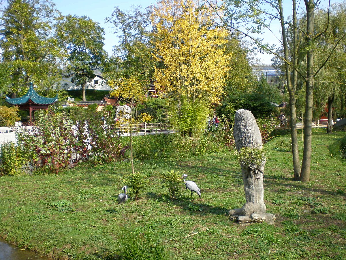 Paradisio jardin chinois7.JPG