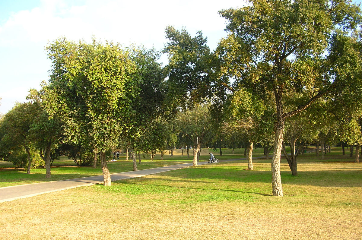 Parc de l'Alamillo