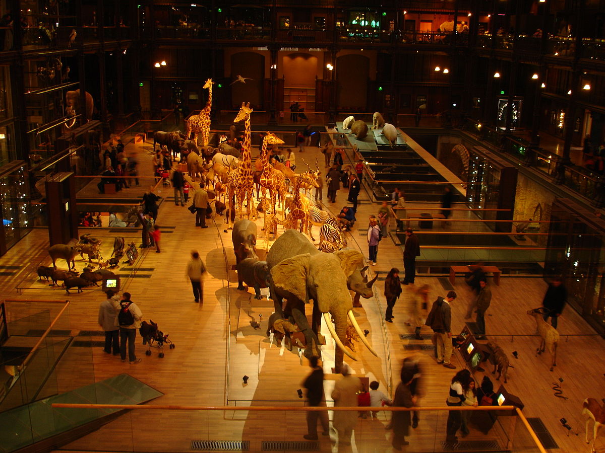 Grande galerie de l'évolution du Muséum national d'histoire naturelle