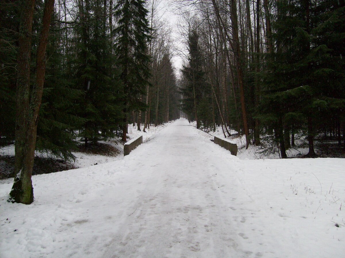 Parc de Serguievka