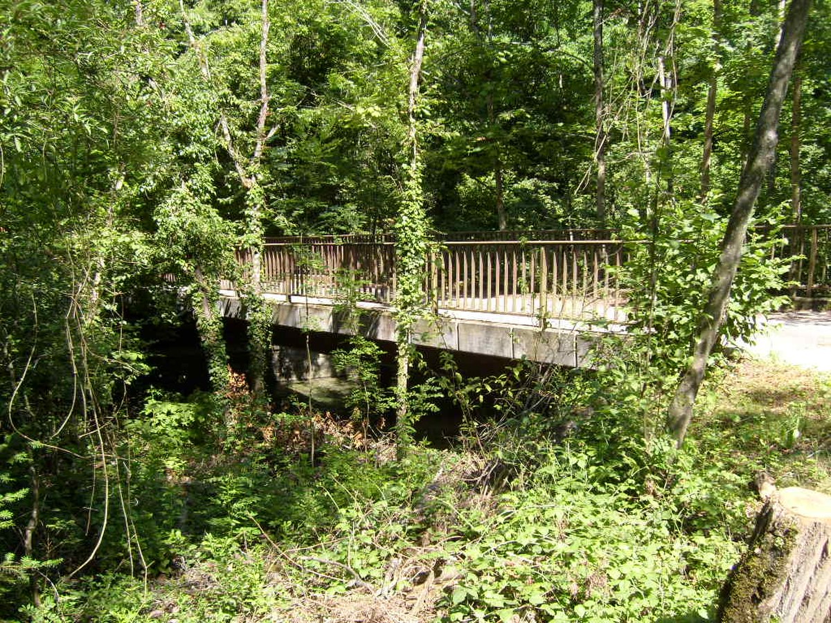 Passerelle Bois Merdisel.JPG