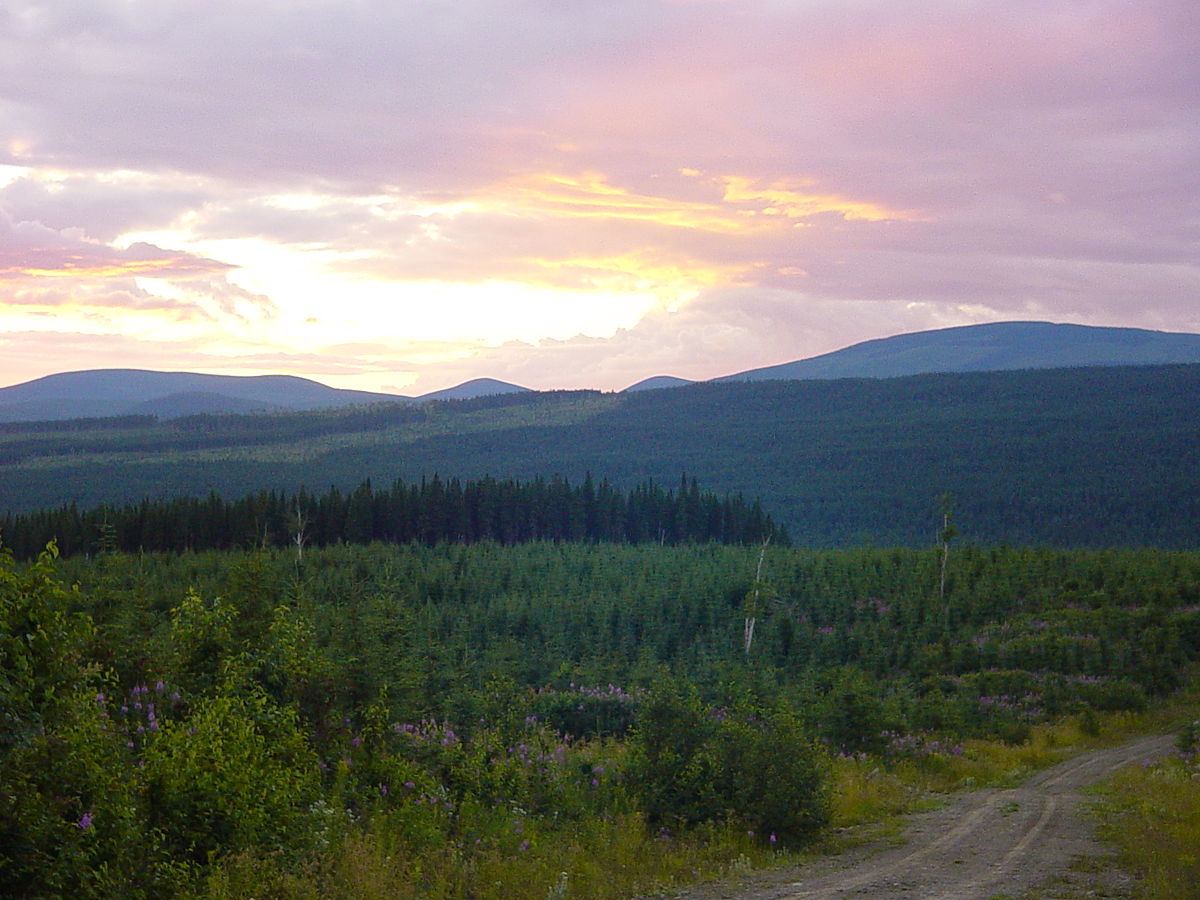 Réserve faunique de Matane