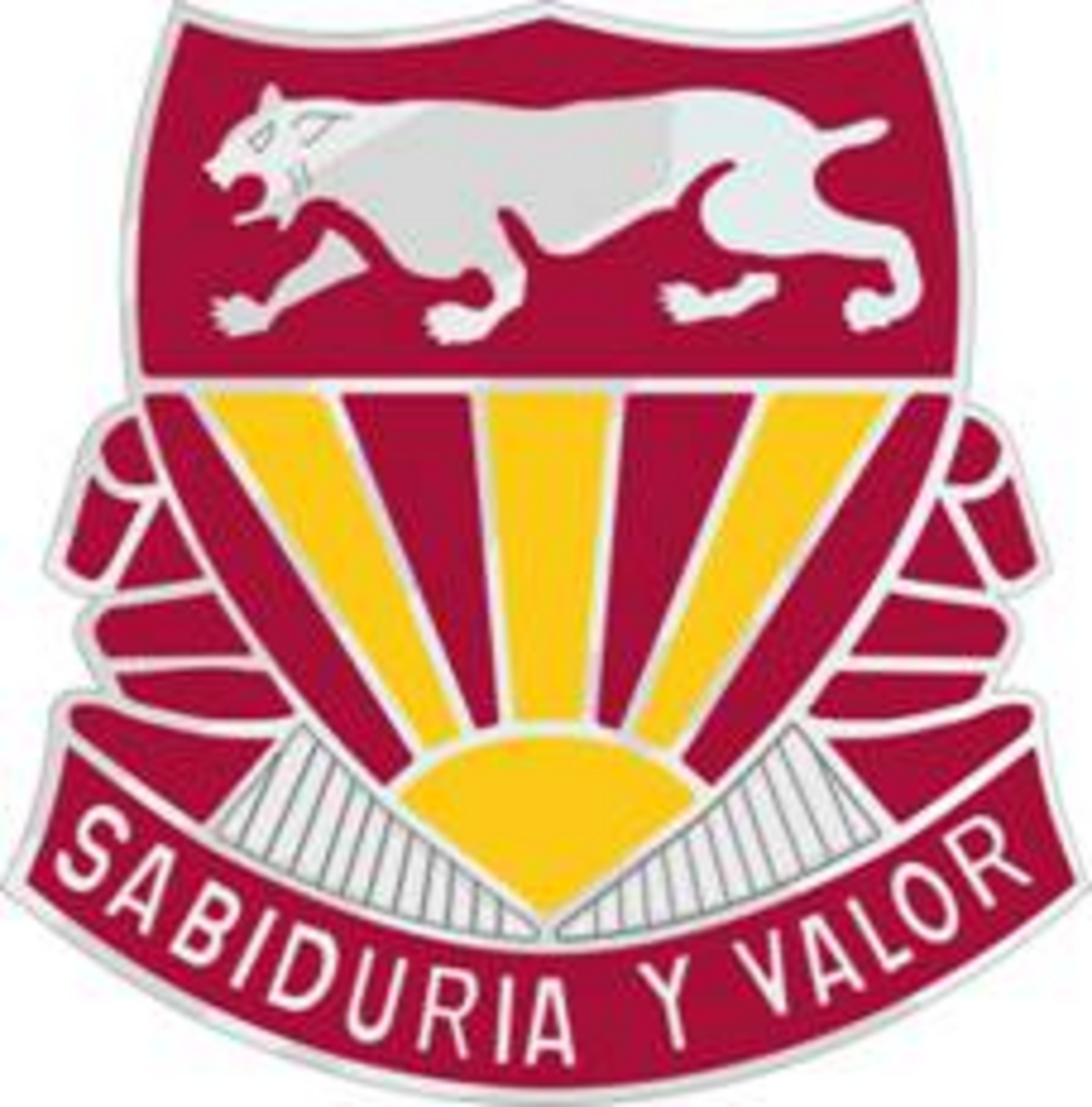 PCHS-JROTC-DUI.png