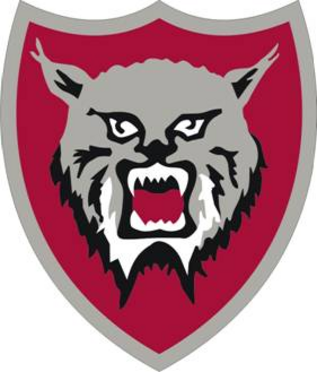 PCHS-JROTC-SSI.png
