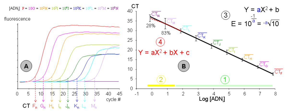 PCR calibration range.png