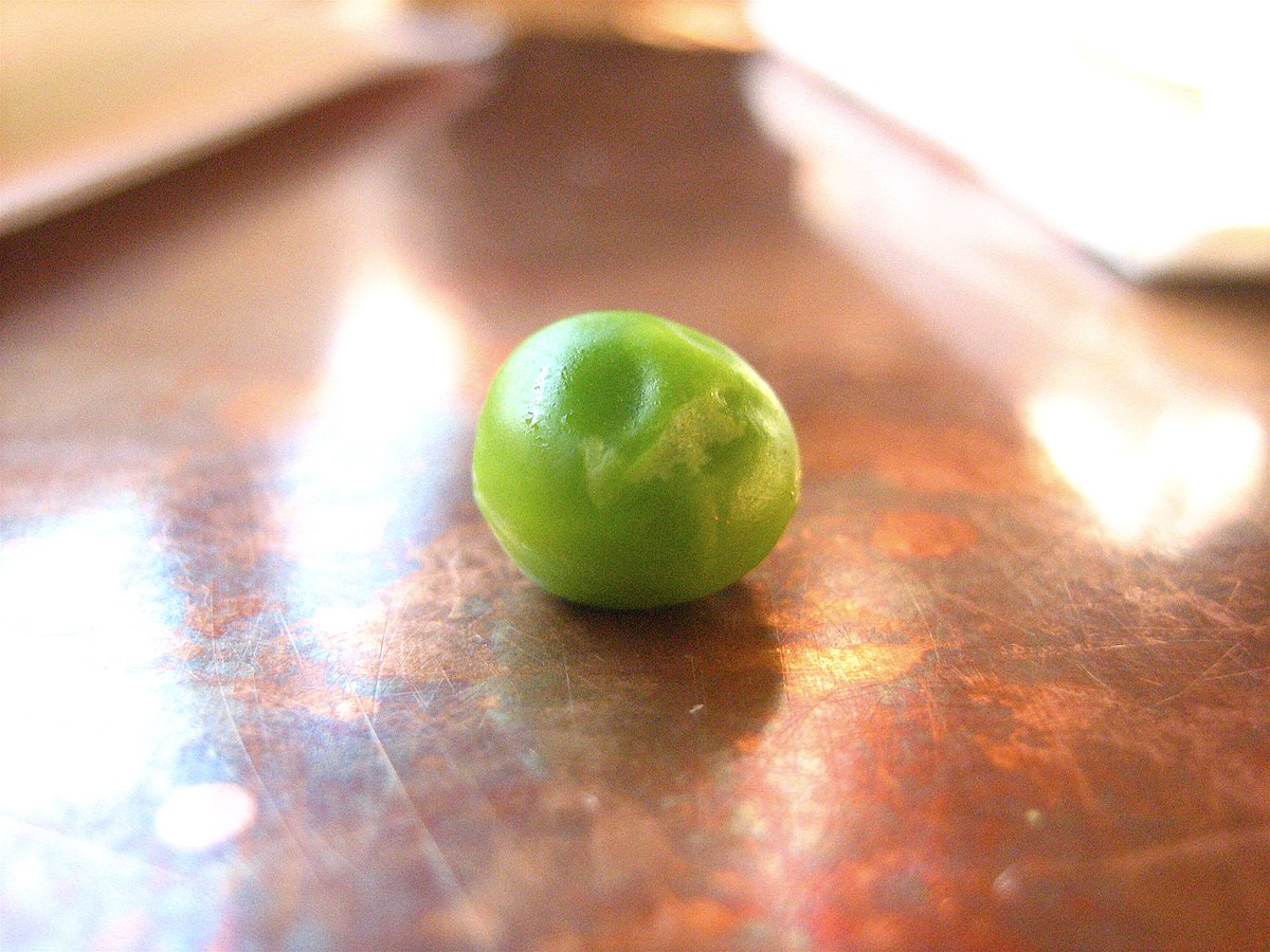 Pois (plante)