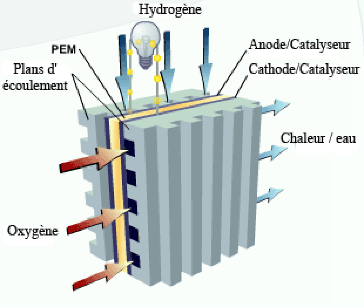 Pile à combustible à membrane d'échange de protons