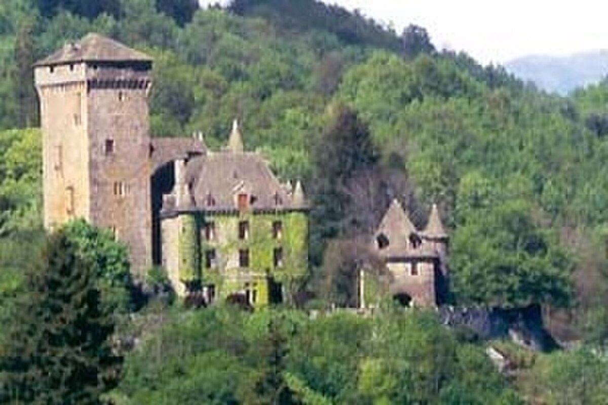 Château de Pesteils
