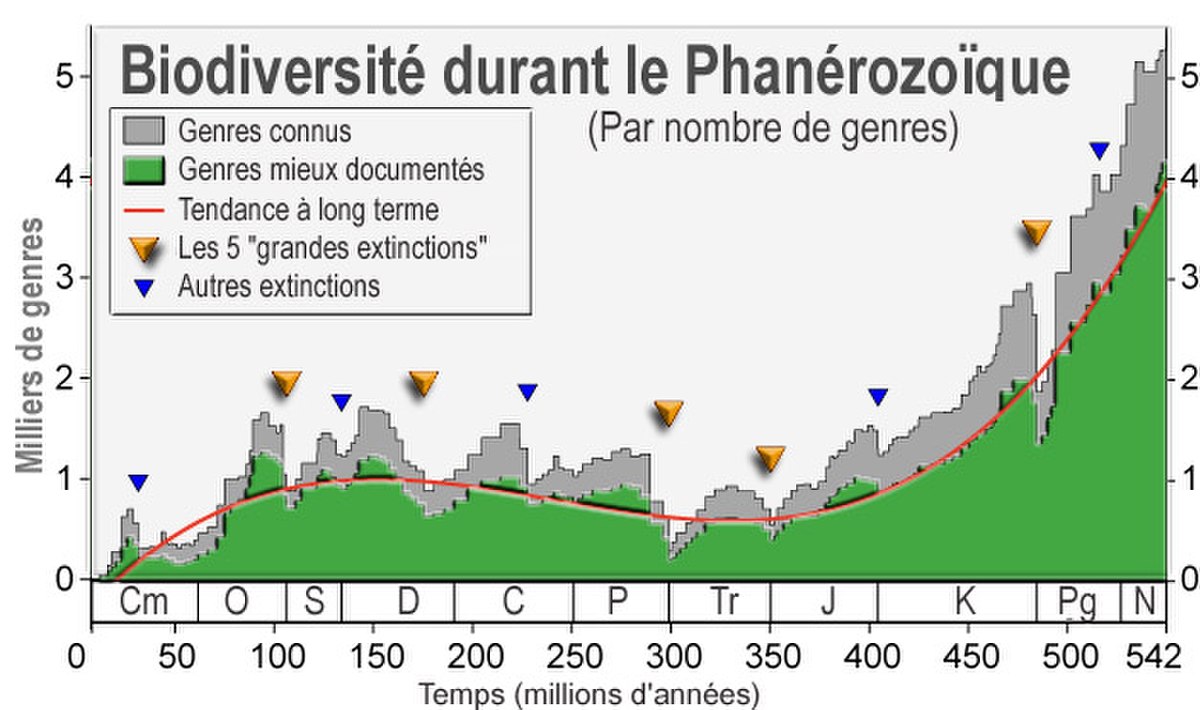 Extinction des espèces