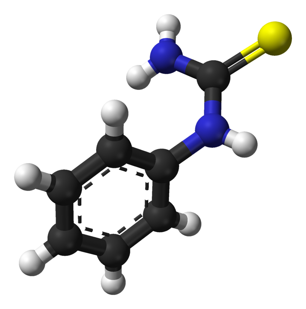 Structure chimique du Phénylthiocarbamide