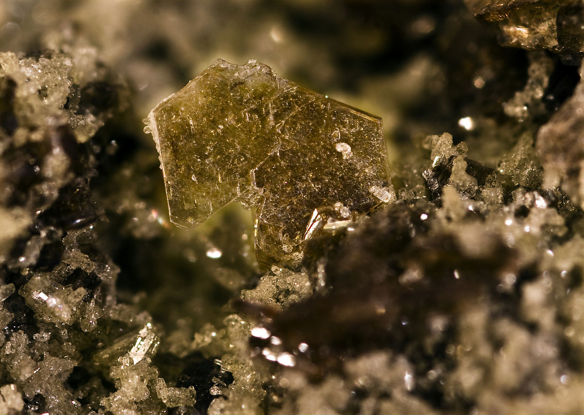 Phlogopite