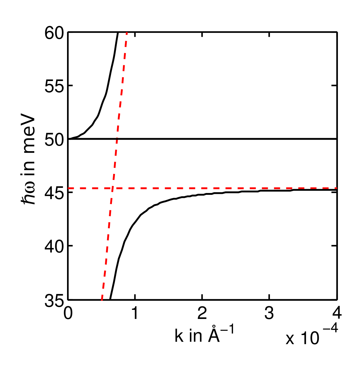 Polariton