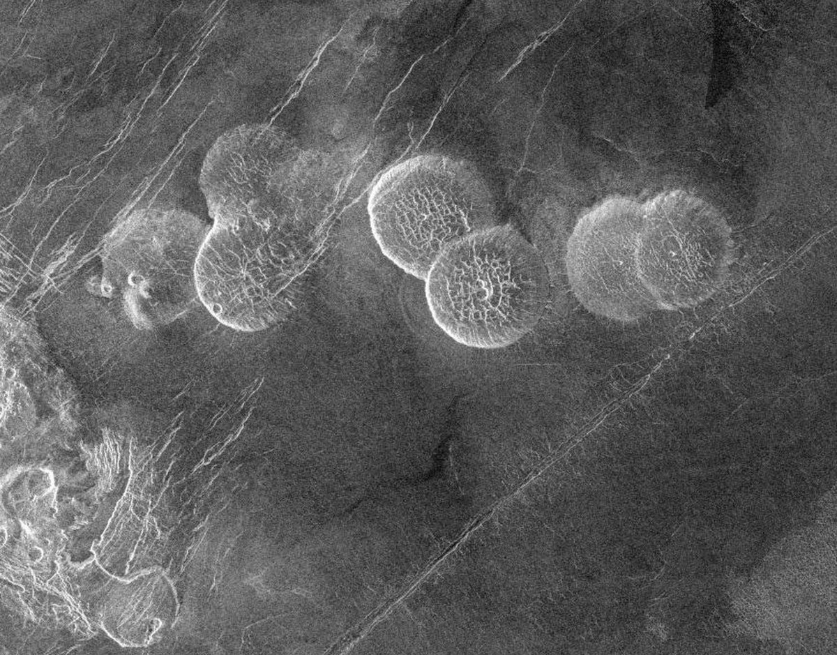 Seoritsu Farra