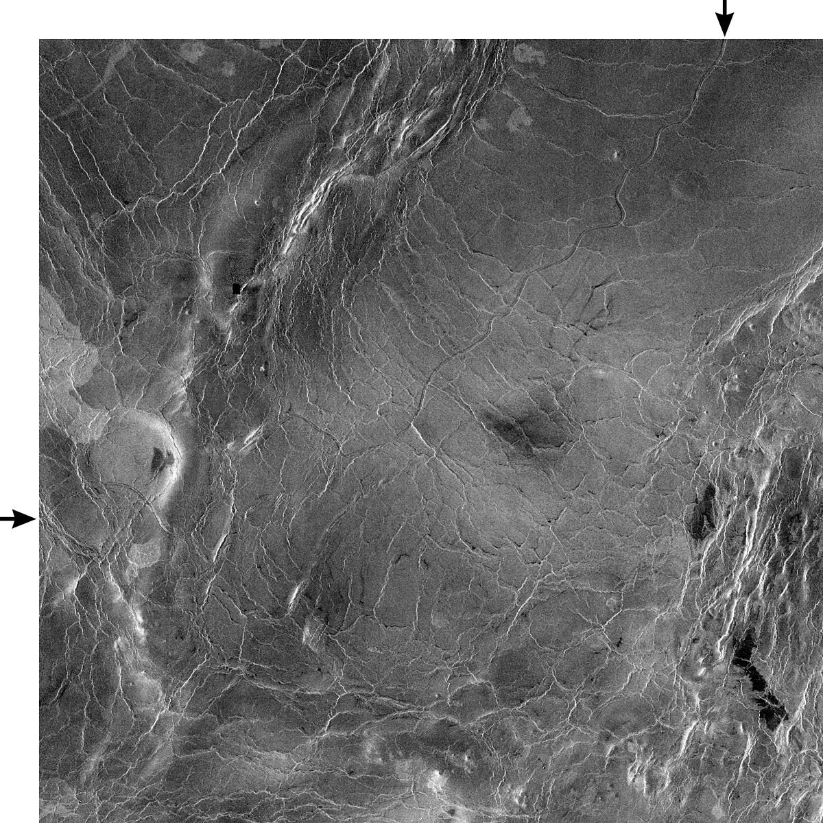 Baltis Vallis