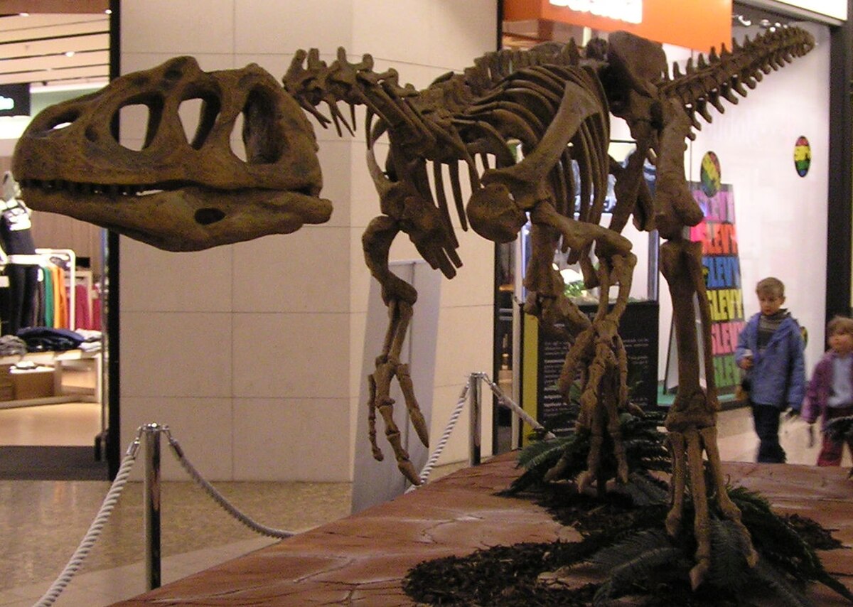 Piatnitzkysaurus