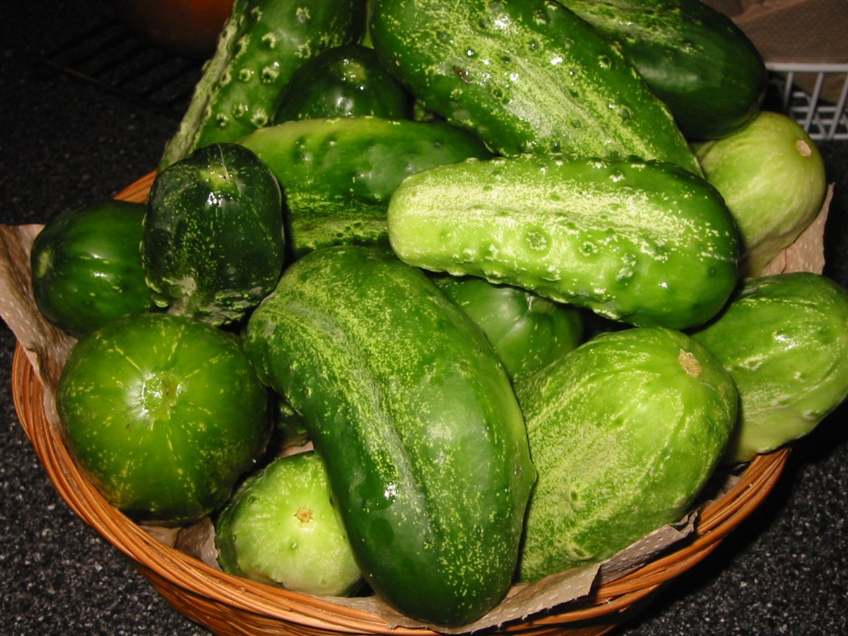 Cornichon