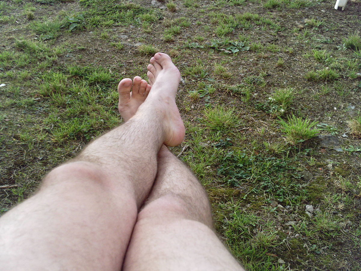 Pieds
