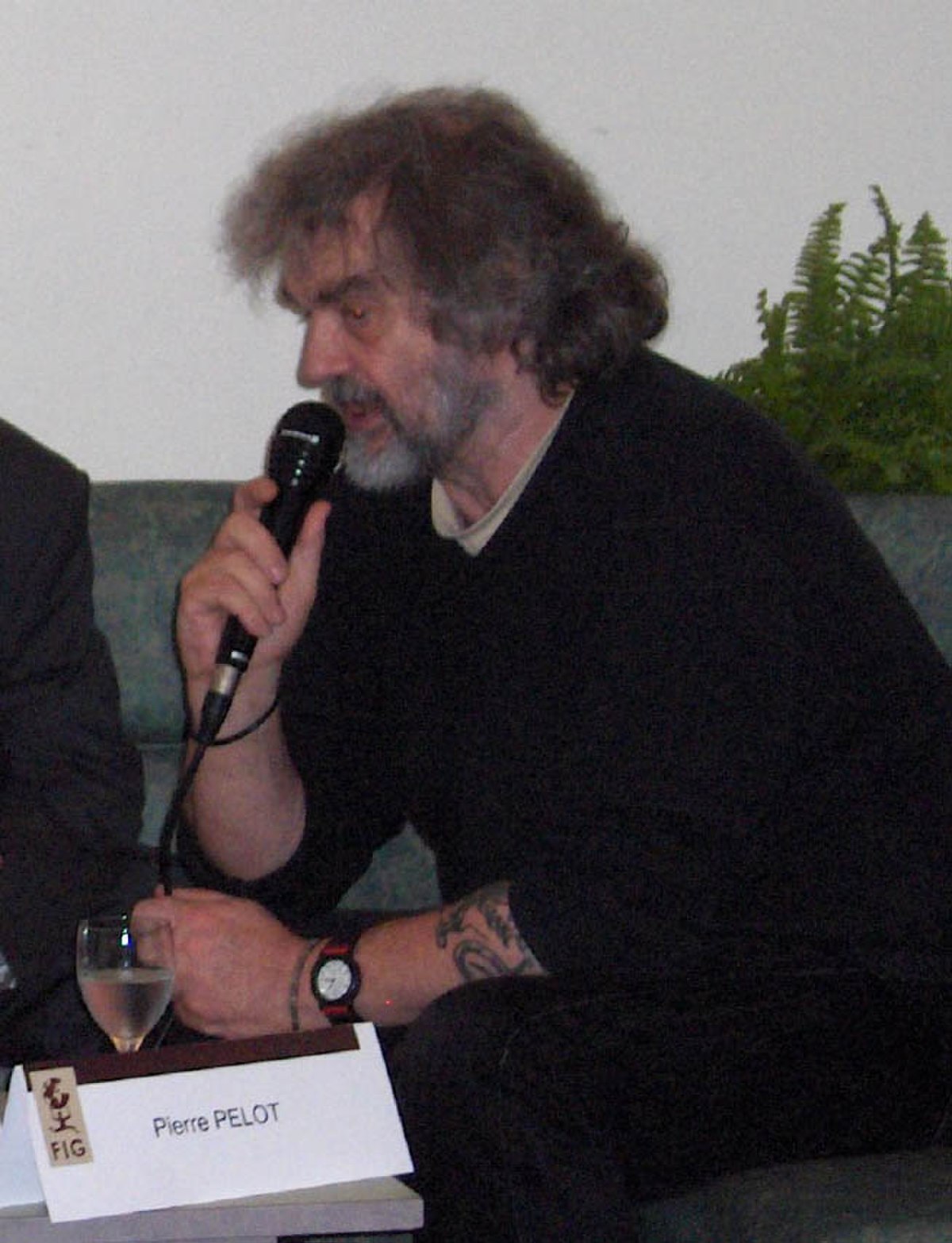 Pierre Pelot