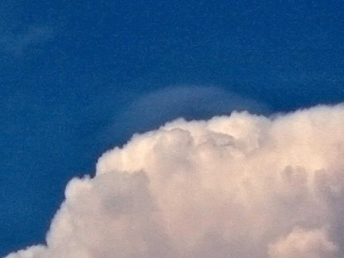 Pileus (nuage)