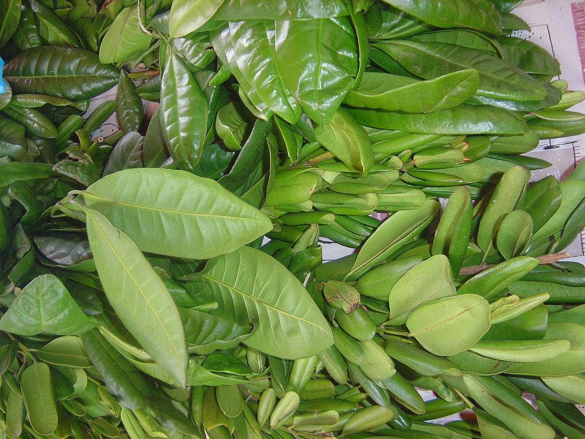 Pimenta