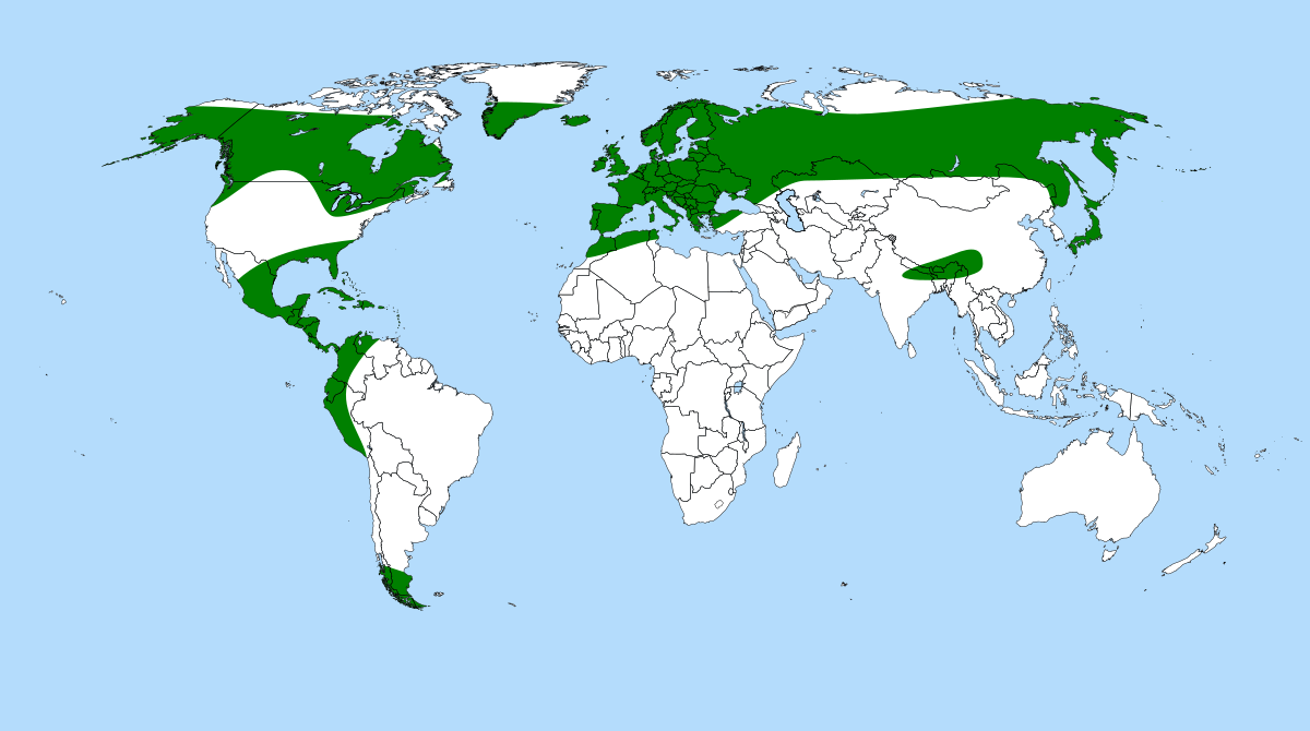 Pinguicula distribution.svg