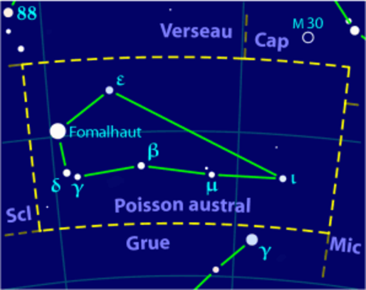 Poisson austral