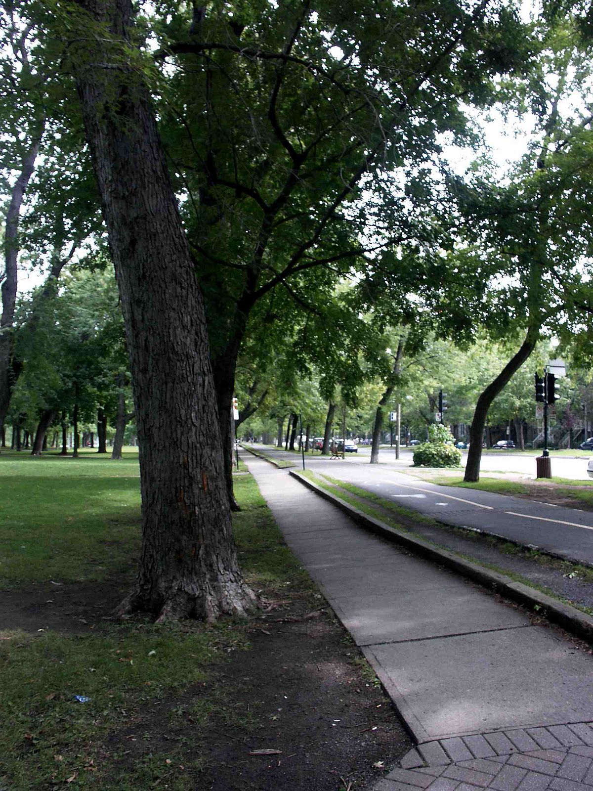 Piste cyclable du parc Lafontaine