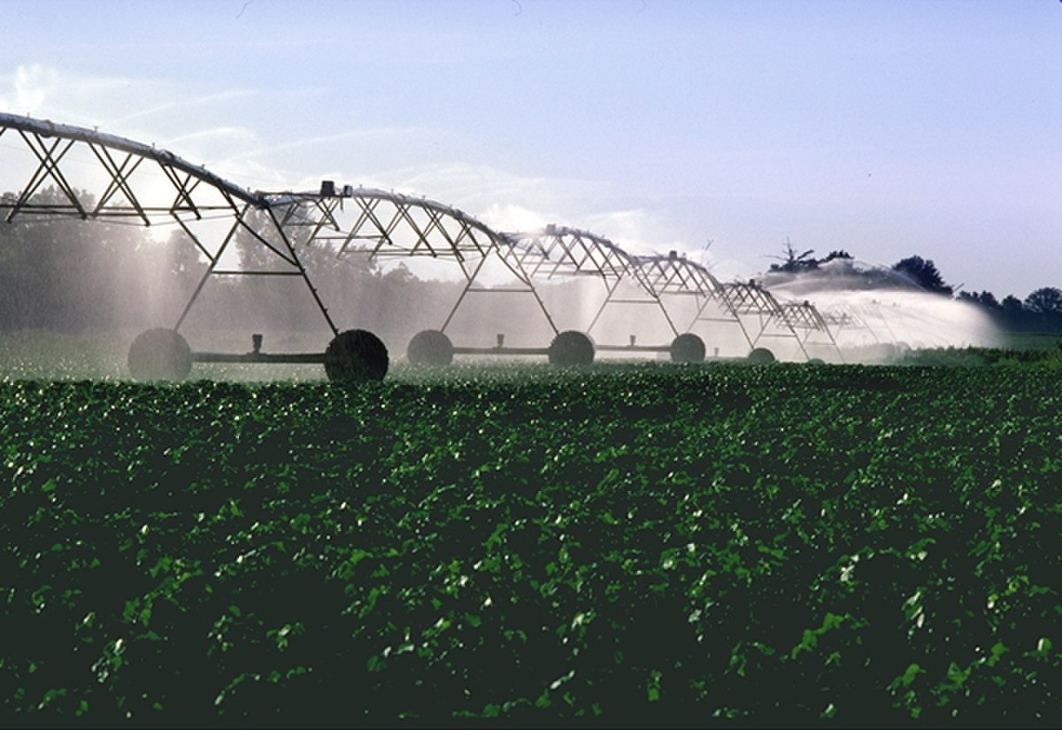 Irrigation du coton aux États-Unis