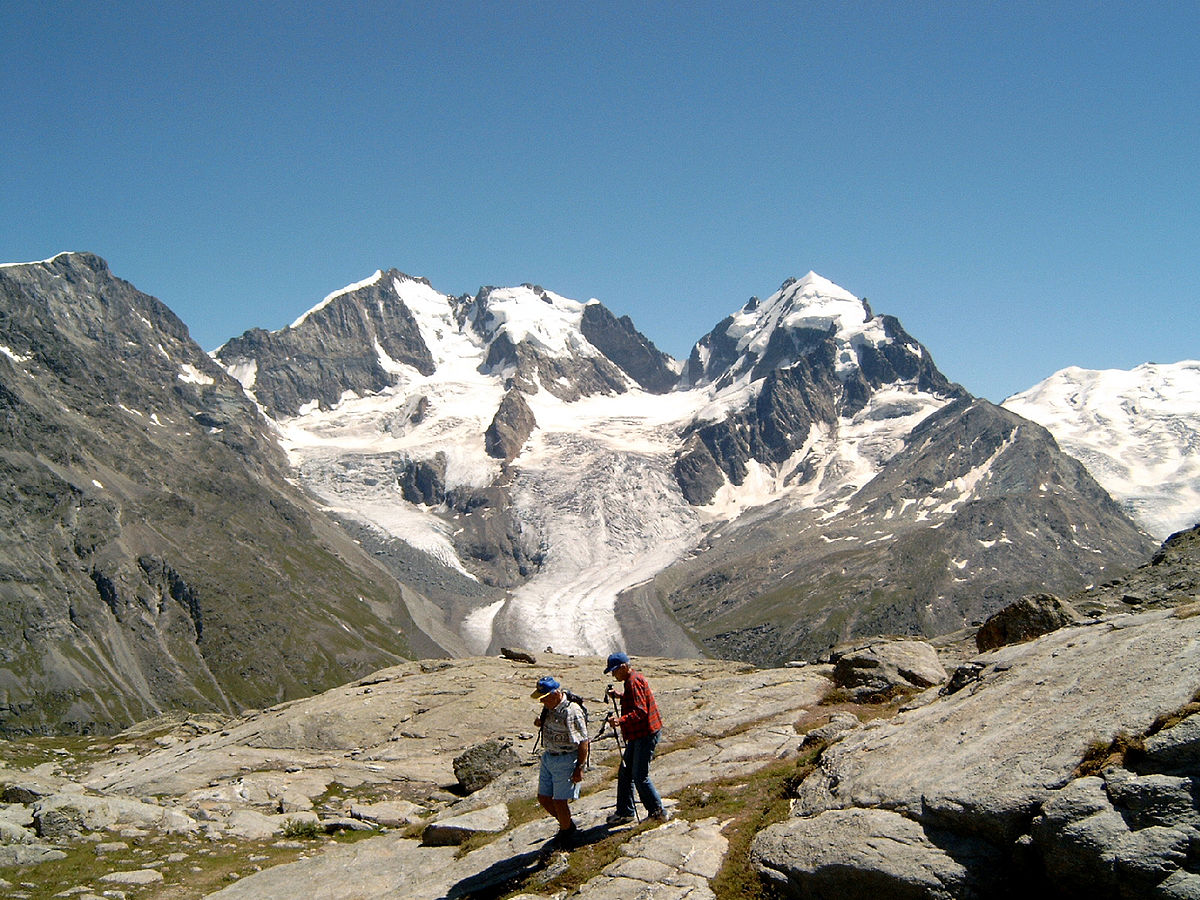 Le Piz Bernina et le Piz Roseg vus depuis Fuorcla Surlej
