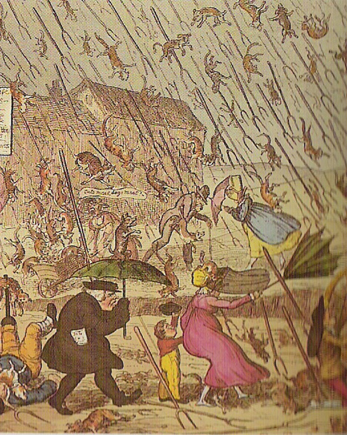 Pluie d'animaux