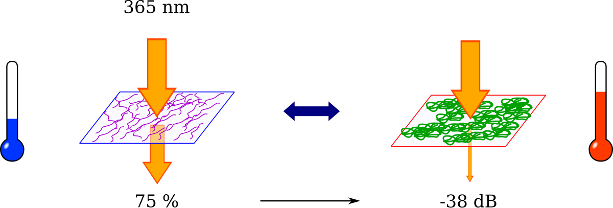 Pour T < LCST, le PNIPAM est transparent et laisse passer 75 % du signal lumineux à 365 nm. À T > LCST, le PNIPAM se replie et devient opaque, provoquant une atténuation de -38dB par rapport à l'état transparent.