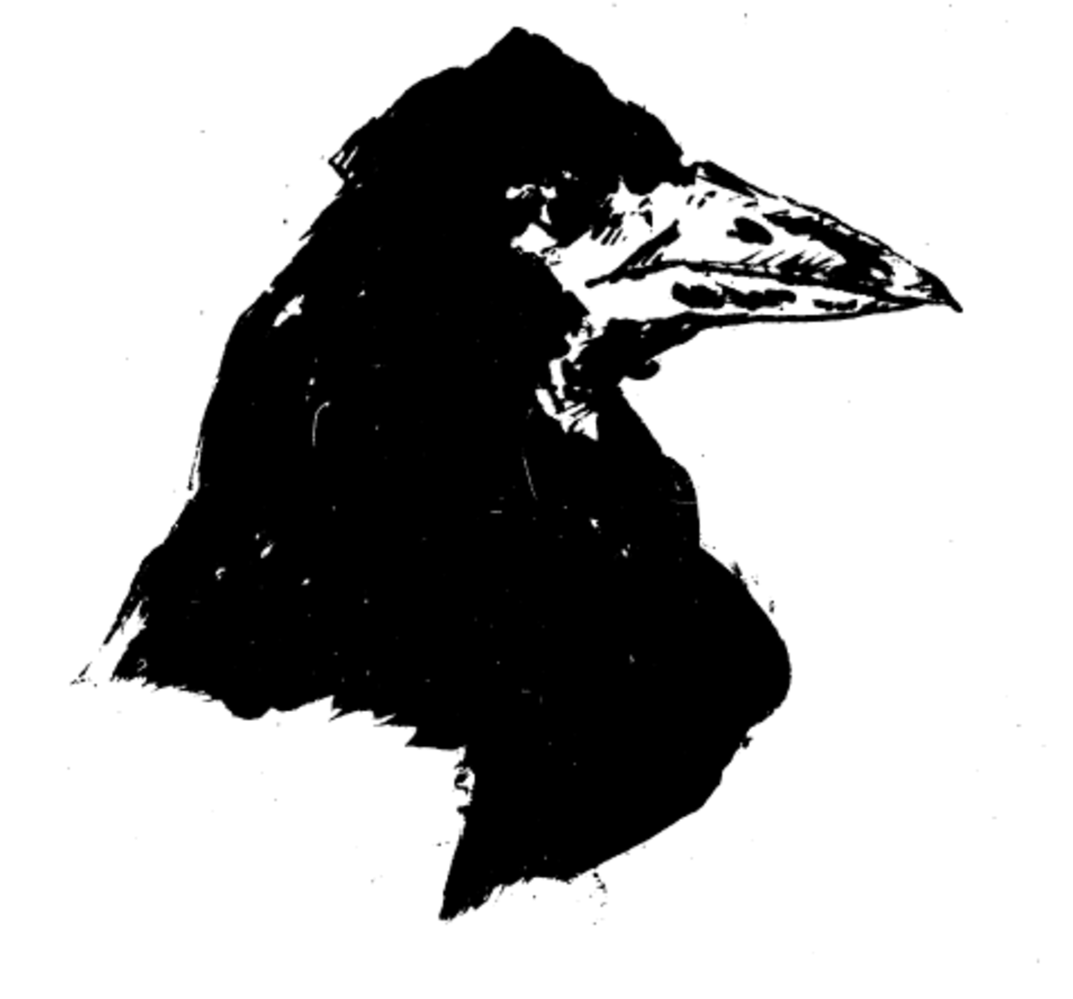 Corbeau dans la culture