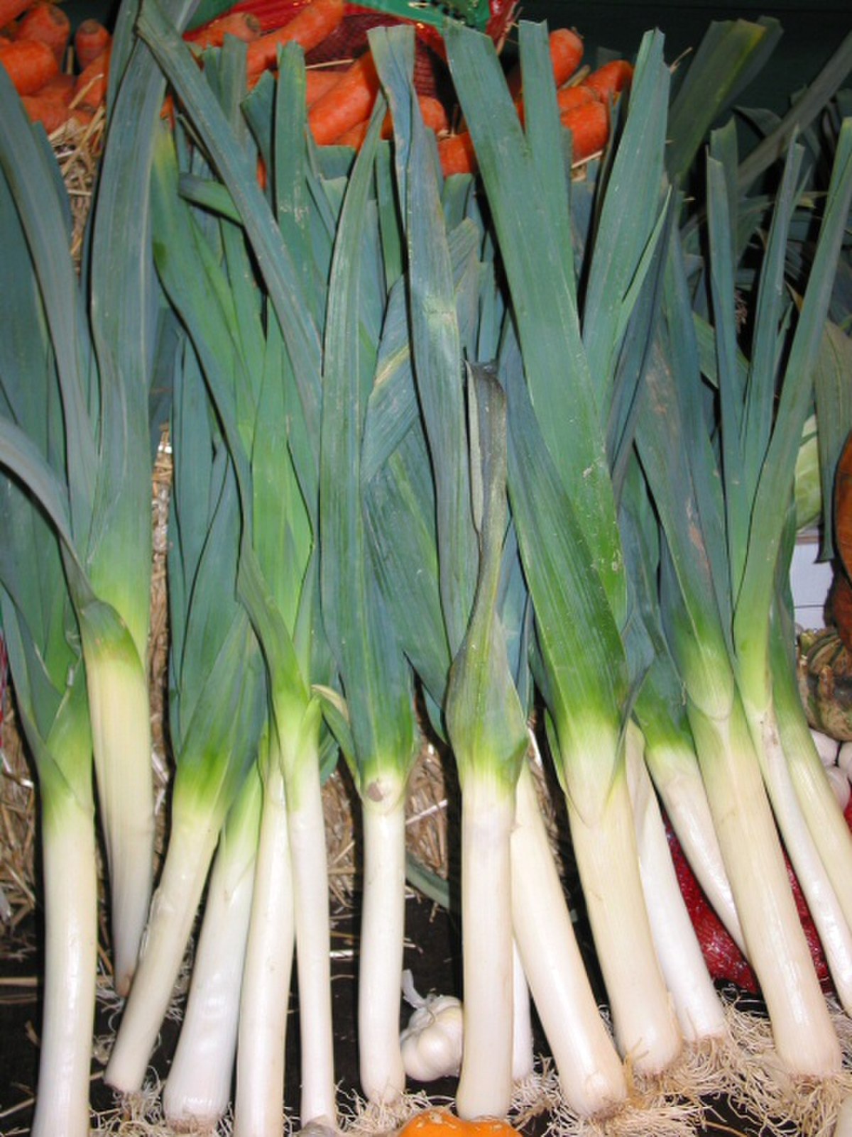 Poireau