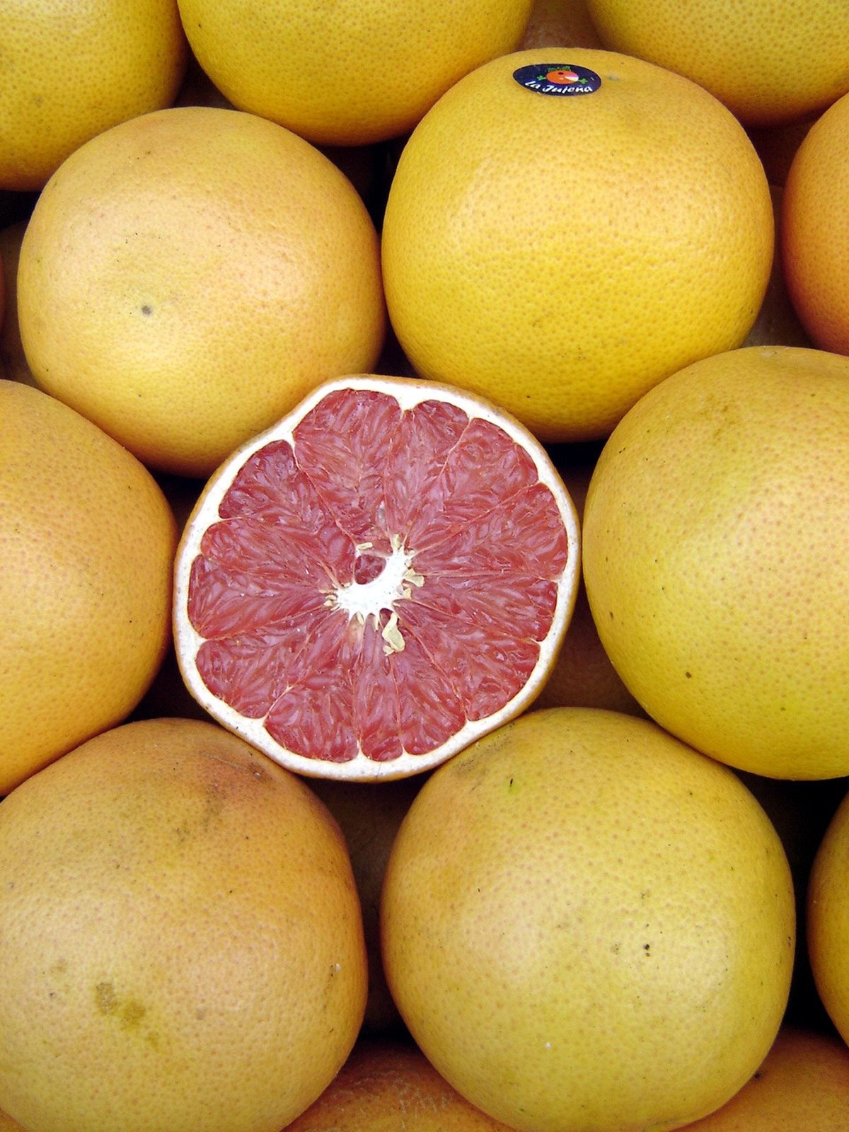 Citrus ×paradisi