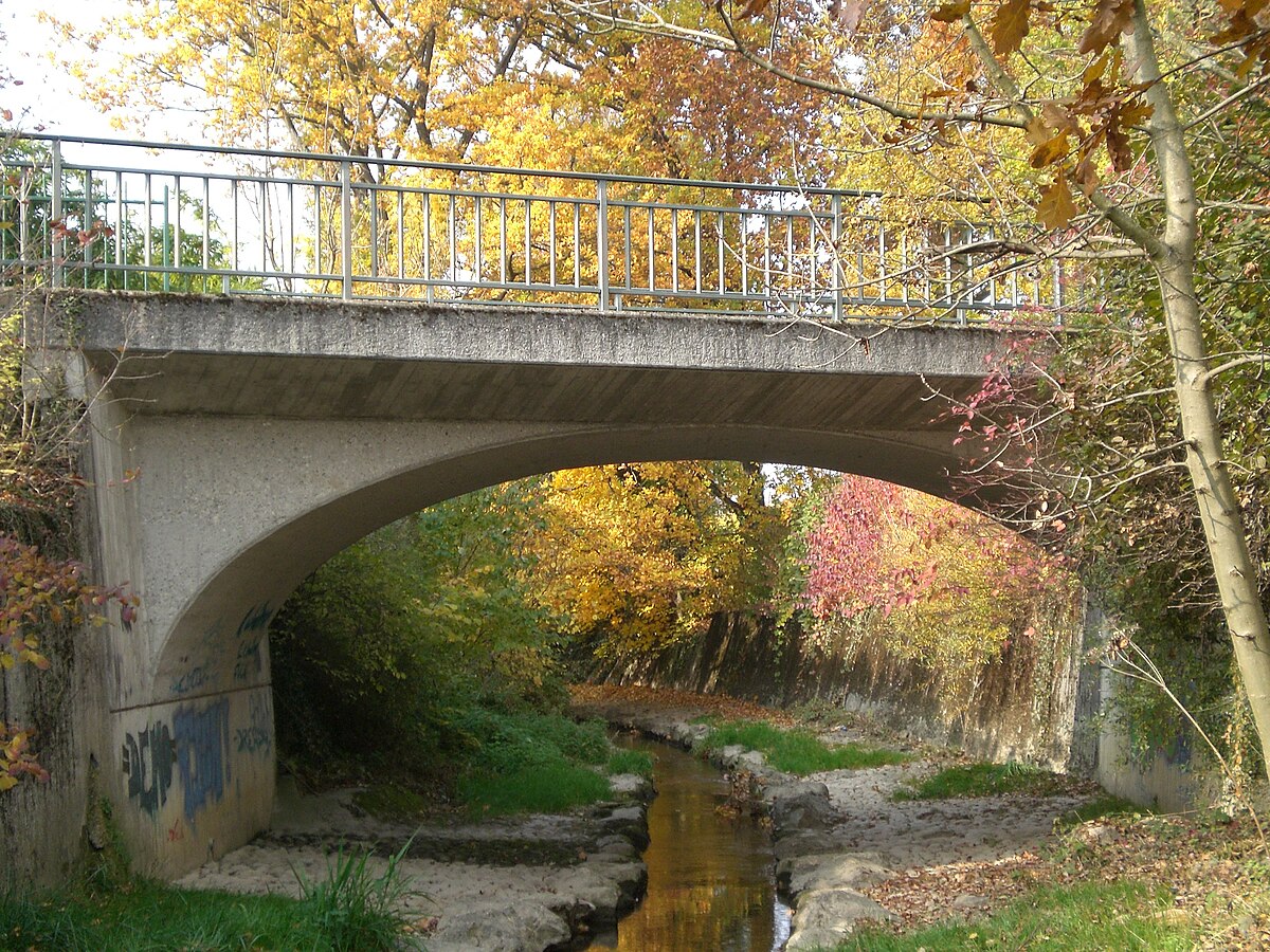 Pont Ladame.jpg