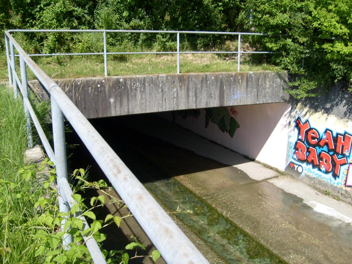 Pont Route Satigny.JPG