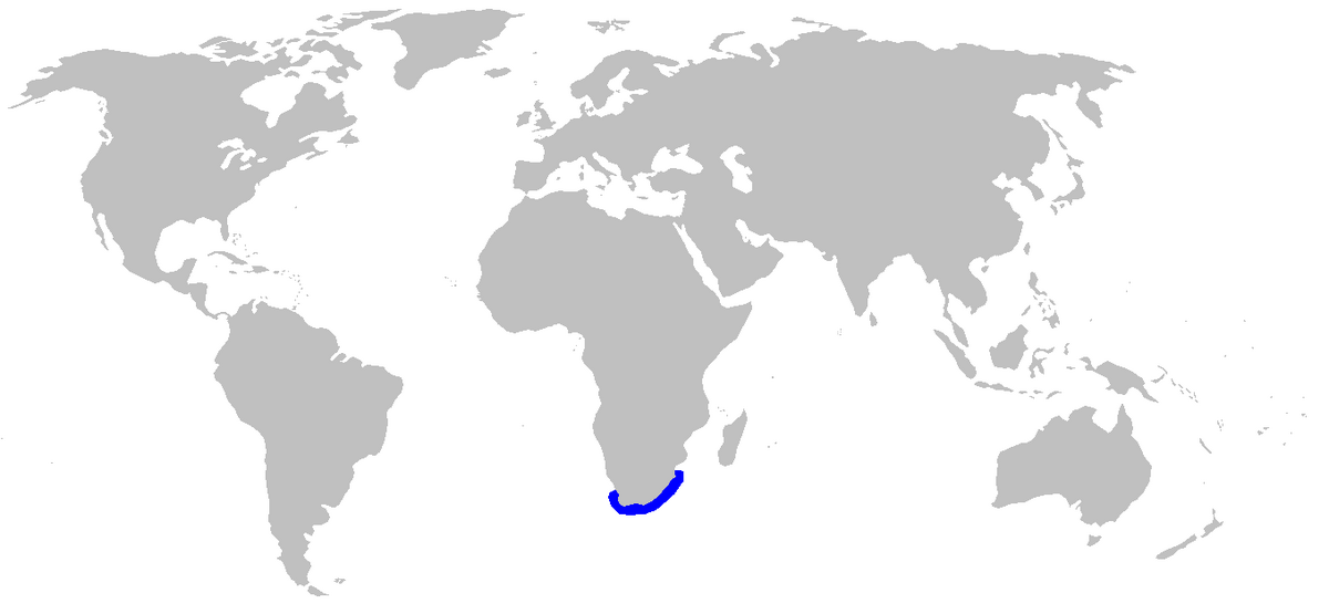 Poroderma africanum distmap.png