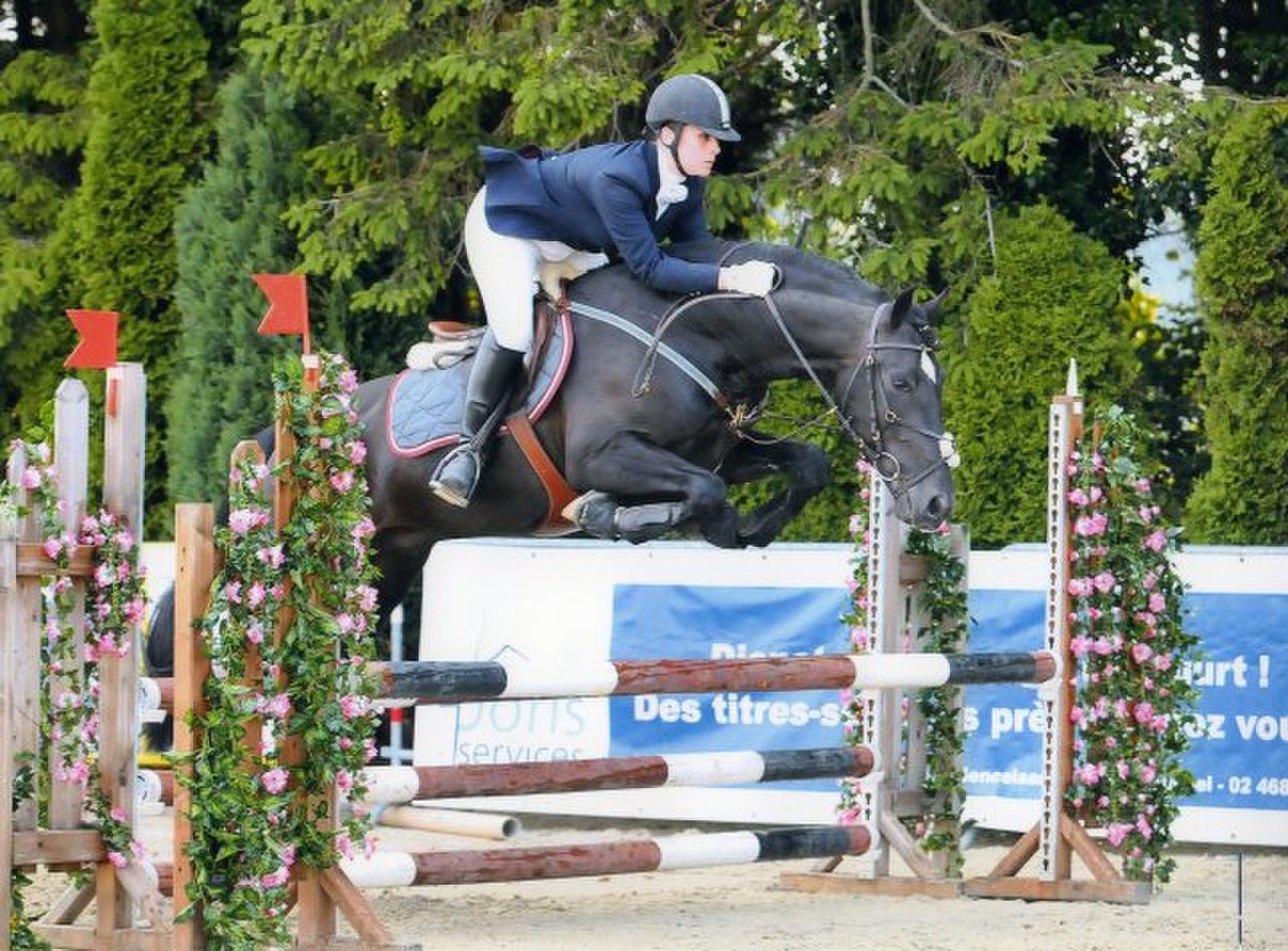 PRE Jumping.jpg