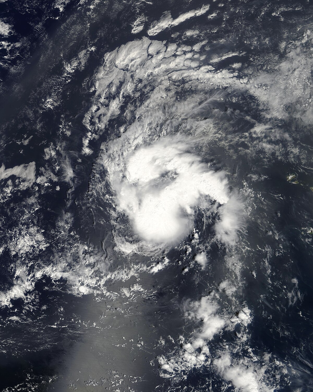 Dépression tropicale Huit (2009)