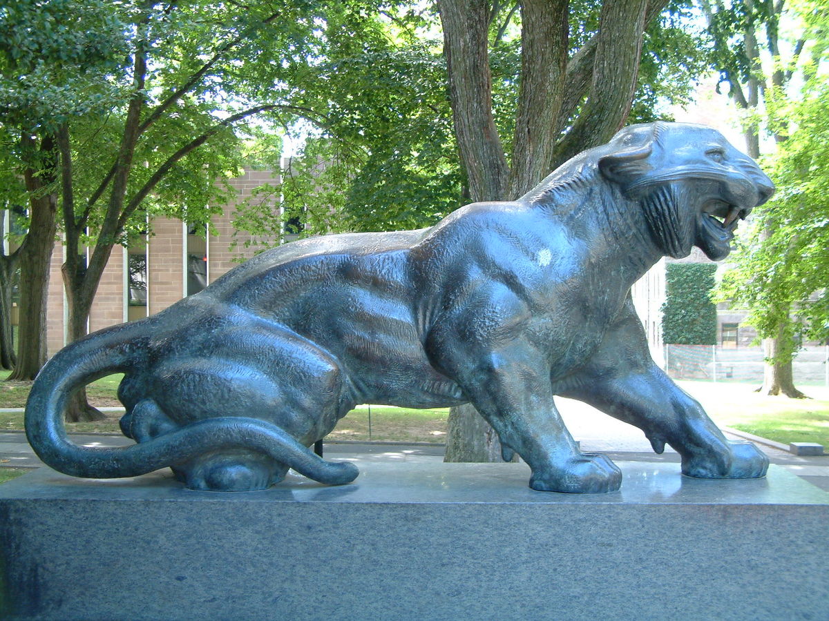 Princeton University Cleo tiger.jpg