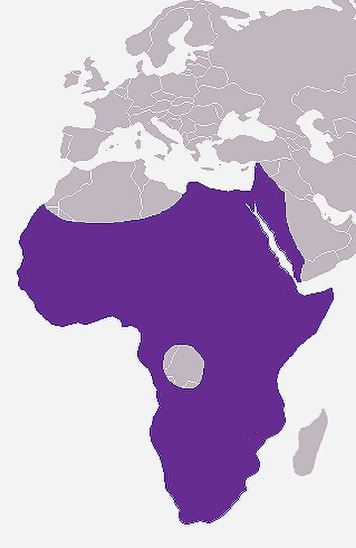 Procavia capensis habitat.jpg