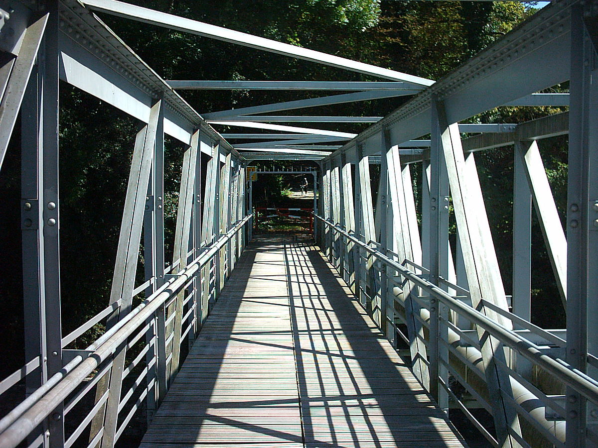 Profil Passerelle Vessy.JPG